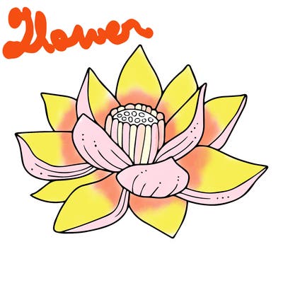 flowers_08