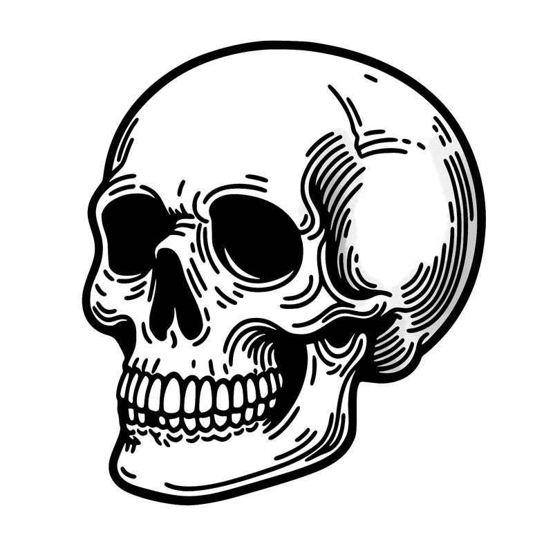 skull