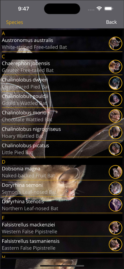 Field Guide to Australian Bats - Reference App | MWM