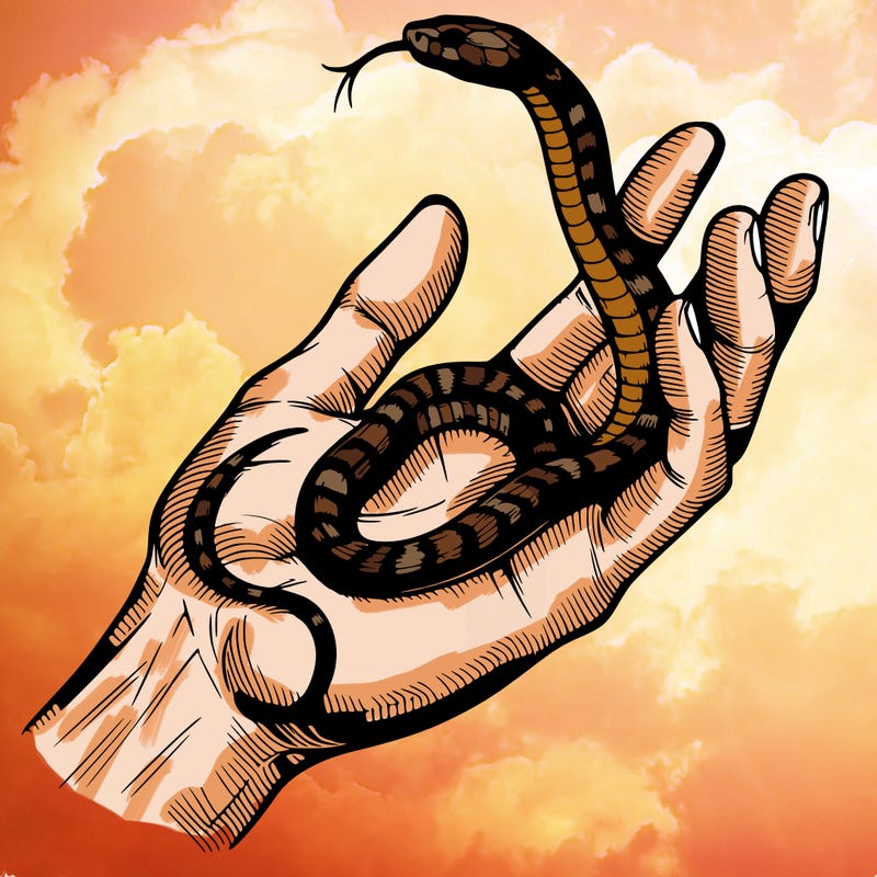 snake on a hand realistic