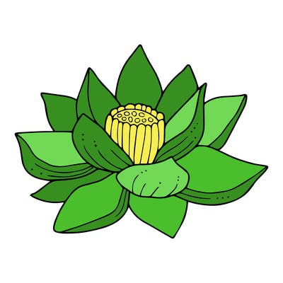 flowers_08