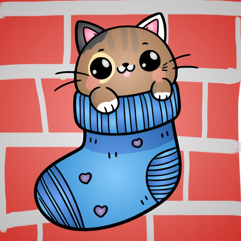 cute cat in a sock