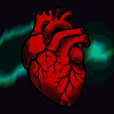 a realistic human heart