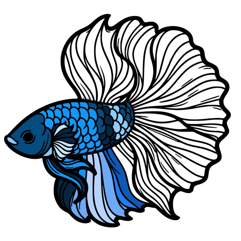 betta fish