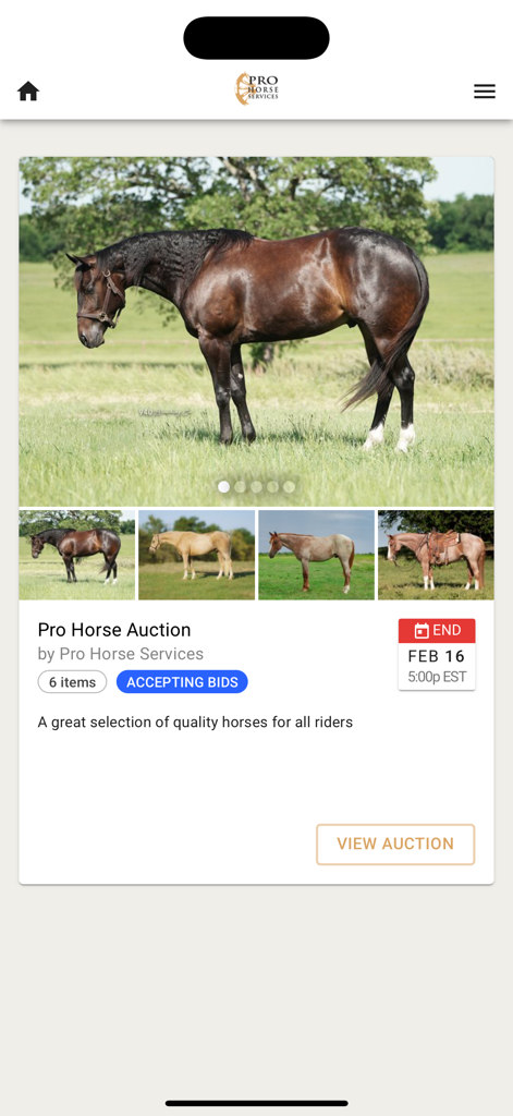 Pro Horse Services - Pro Horse Services app displaying a professional horse auction listing with high-quality equine photos.