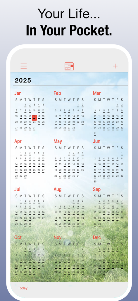 PocketLife Calendar - Panoramica annuale dell'app PocketLife Calendar per il 2025 con uno sfondo paesaggistico personalizzato