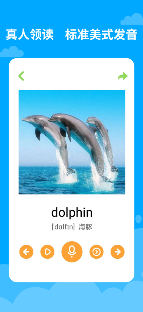 宝宝学英语-专注儿童英语启蒙教育 - Bilingual English and Chinese flashcard for the word dolphin with a picture