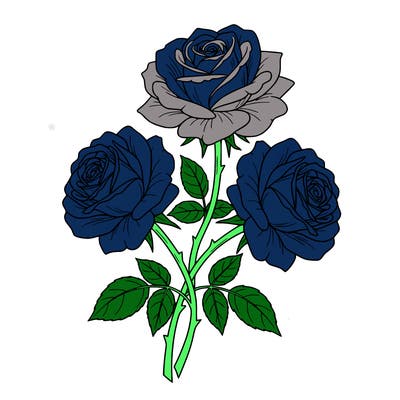 gorgeous set of 3 fully bloomed roses