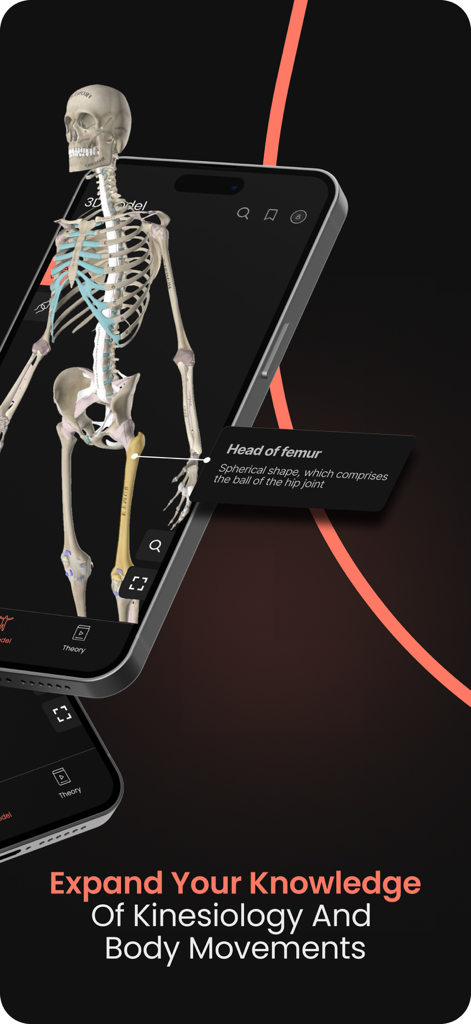 Anatomy by M&M - Un modèle de squelette humain 3D sur un écran de smartphone avec un repère pour la tête du fémur dans l'application Anatomy by Muscle and Motion