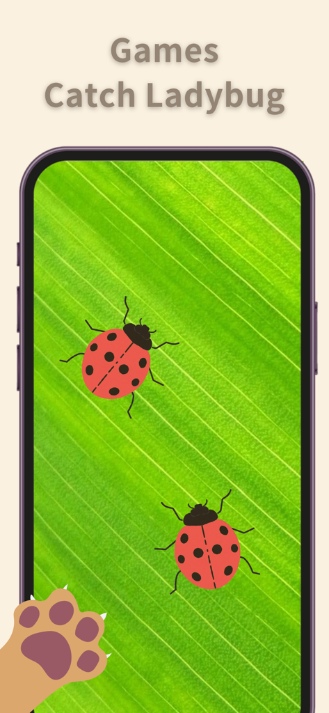 CatVerse - Cat Games for Cat - An interactive cat game screen from CatVerse showing two red ladybugs crawling over a green leaf for a cat to catch.