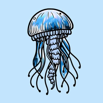 jellyfish