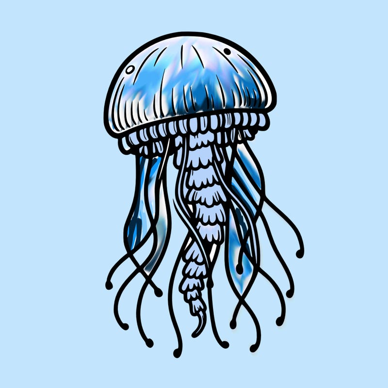 jellyfish