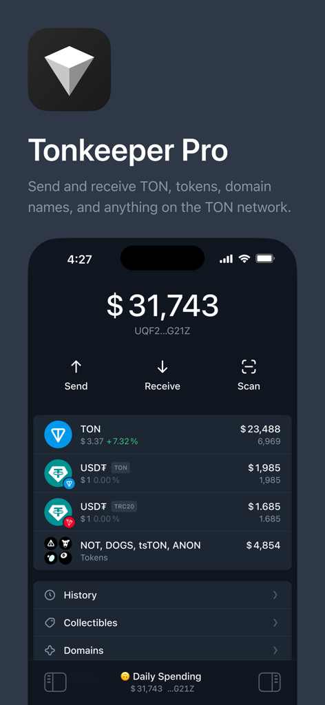 Tonkeeper Pro mobile App-Dashboard mit Kryptowährungs-Guthaben und Asset-Management-Funktionen
