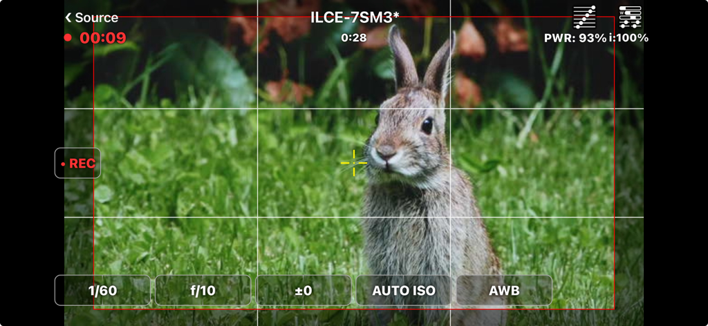 FieldMonitor - FieldMonitor app interface showing a live camera feed of a rabbit with professional filming settings and a framing grid.