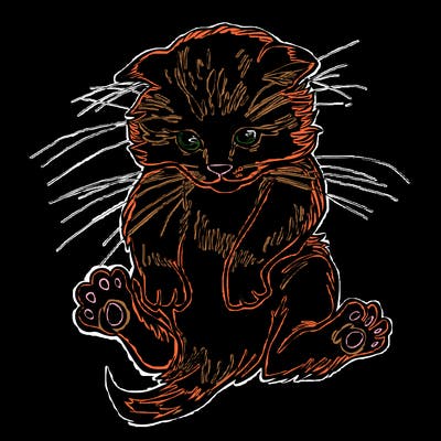 animals_20