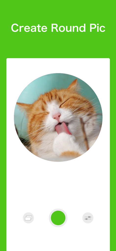 Round Pic Maker: PFP Icon - Round Pic Maker app interface showing a circular crop of a cat photo