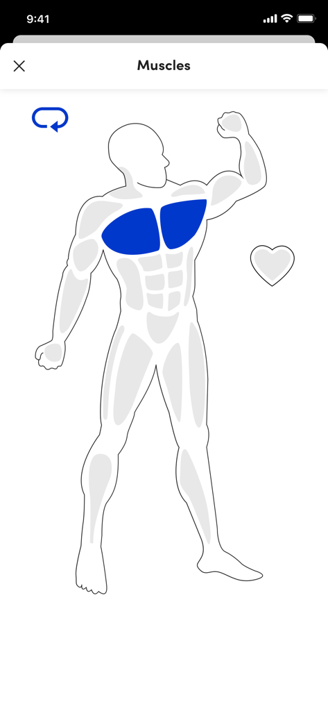 Let’s Go App - Mobile app interface showing a body diagram with highlighted chest muscles for fitness tracking.