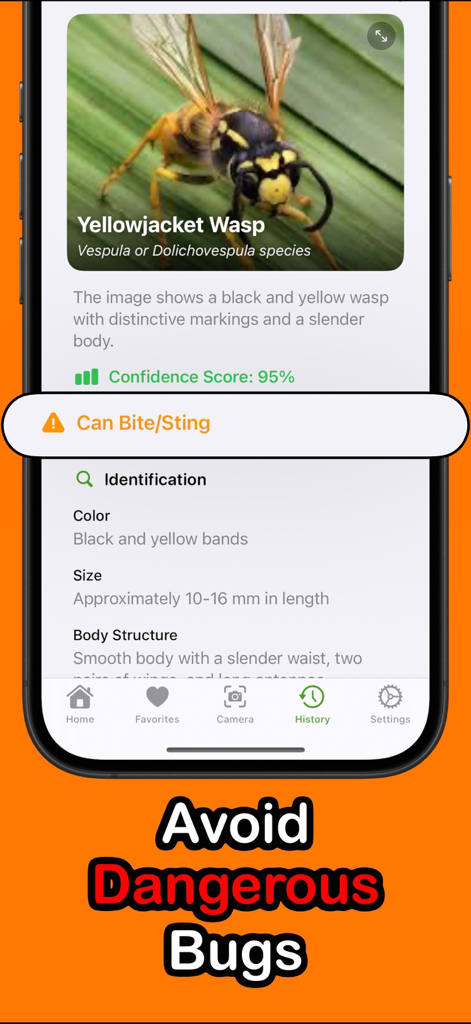 Bug Identifier - BugSnap - Reference App | MWM
