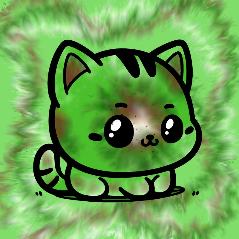 cat cute