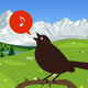 Chirp! Bird Songs UK & Europe