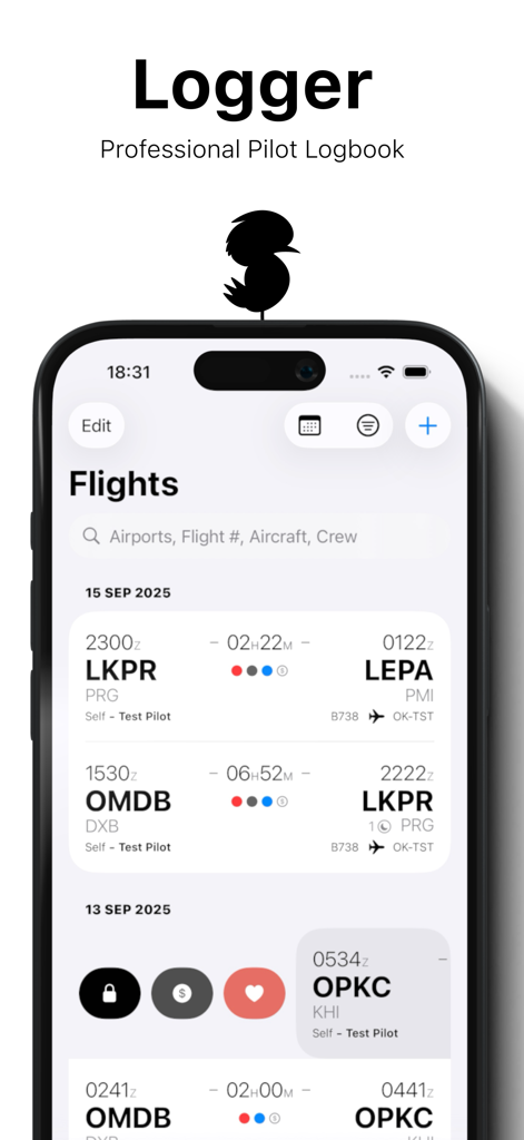 Logger app interface displaying a detailed list of pilot flight records on an iPhone