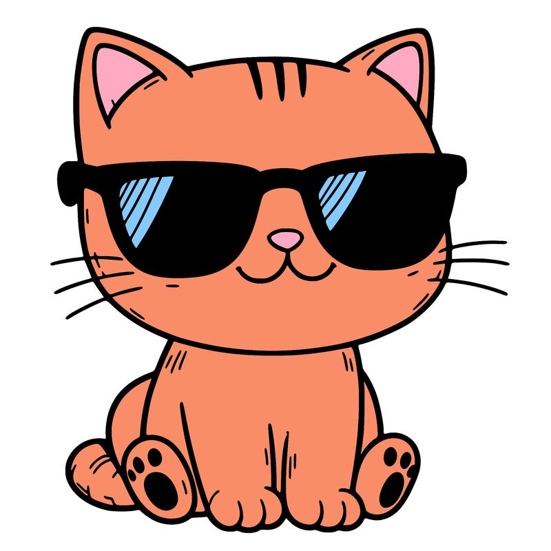 cat with sunglasses