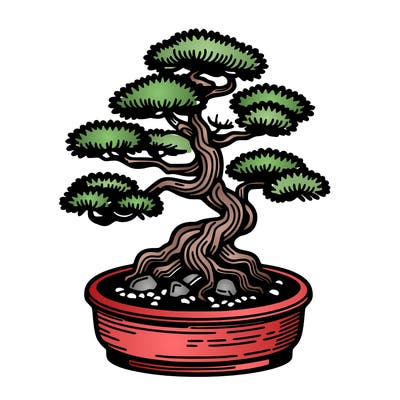 japan bonsai