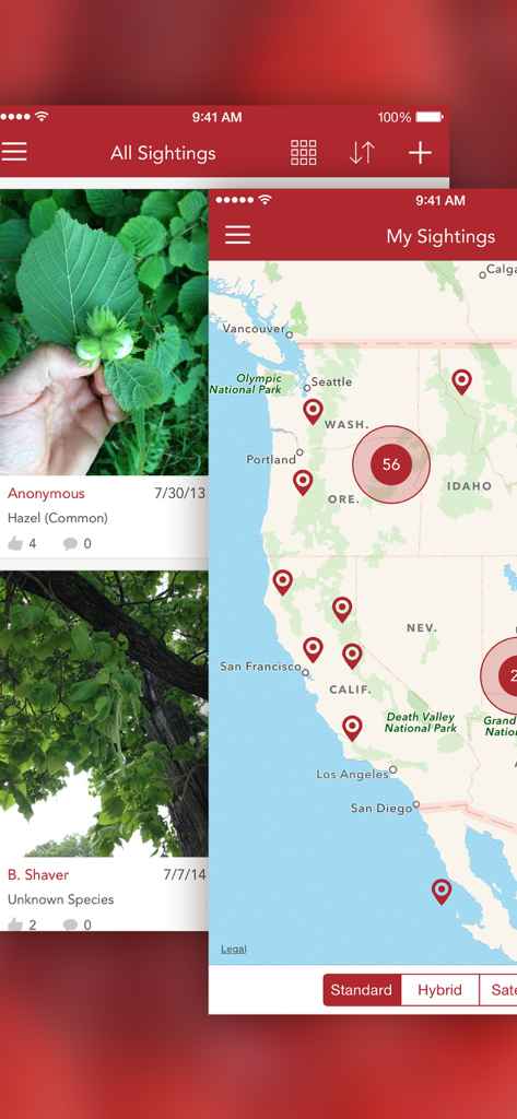 Wild Berries and Herbs 2 PRO - Pantallas móviles para la aplicación Wild Berries and Herbs 2 PRO con una galería de avistamientos de plantas y un mapa GPS para rastrear lugares de recolección