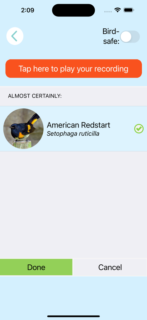 ChirpOMatic - BirdSong USA - A screenshot of the ChirpOMatic app showing a successful identification result for an American Redstart bird song.