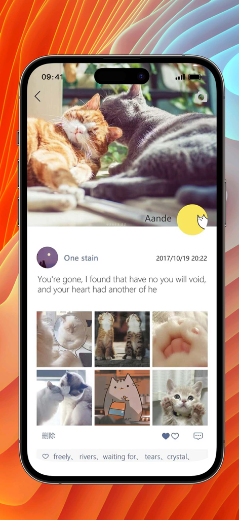 MChat Messenger - MChat 메신저 소셜 피드 화면 (게시물 및 고양이 사진 갤러리 포함)