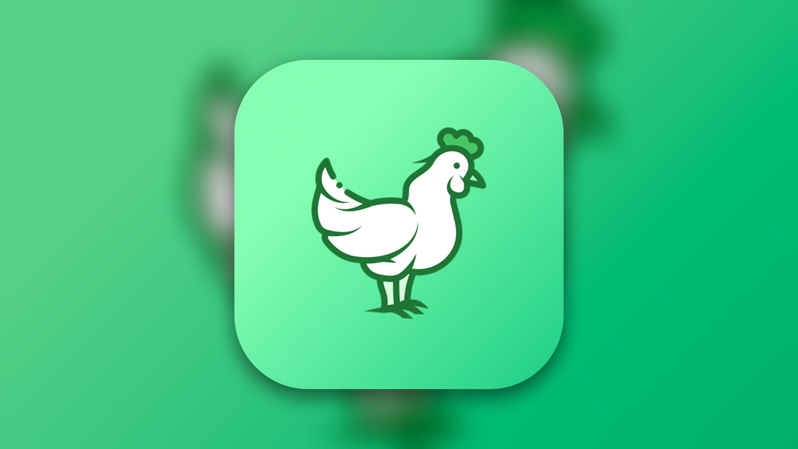 Live Chicken - Shopping App | MWM