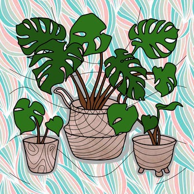 flowers_25