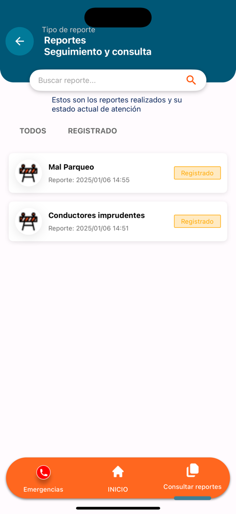 INTRANT RD - Status von Verkehrsberichten in der mobilen INTRANT RD App