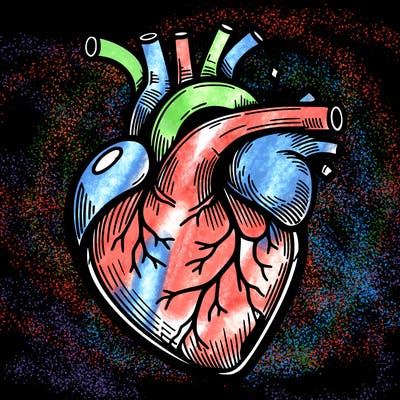realisticl heart