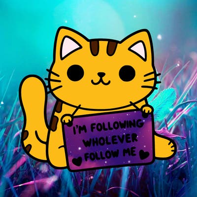 cat with a sign that says i’m following whoever follows me