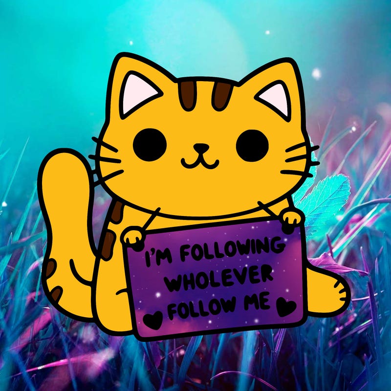 cat with a sign that says i’m following whoever follows me