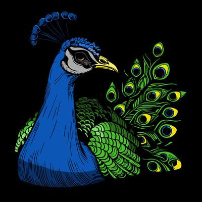 realistic peacock