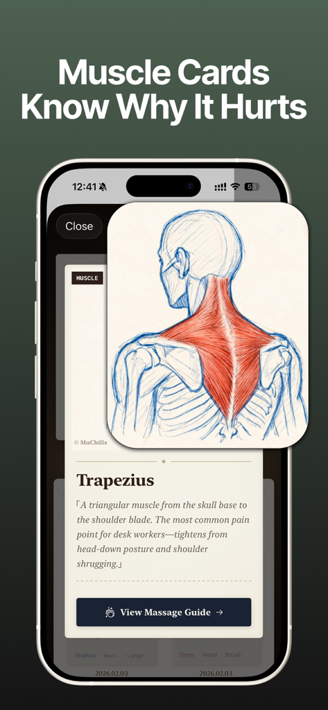 MuChills: Daily Stretch Log - Ilustración de tarjeta muscular que muestra el músculo trapecio con una descripción educativa sobre su función y puntos de dolor comunes para trabajadores de escritorio