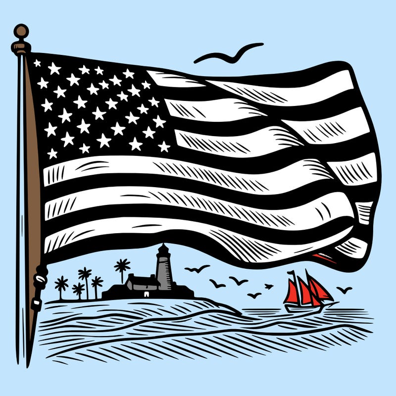 flag of usa