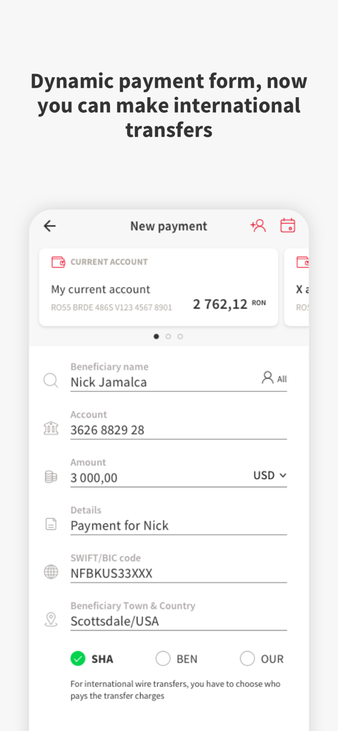 YOU BRD - International payment form in the YOU BRD mobile banking app showing a transfer to the USA