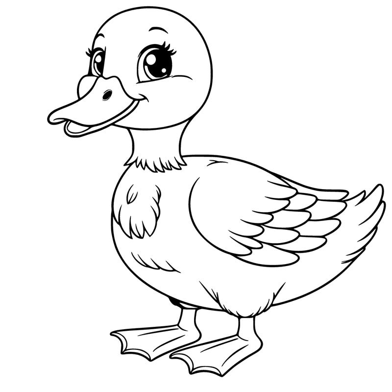 realistic duck