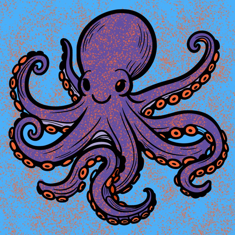 octopus