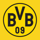 BVB