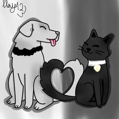 animals_22