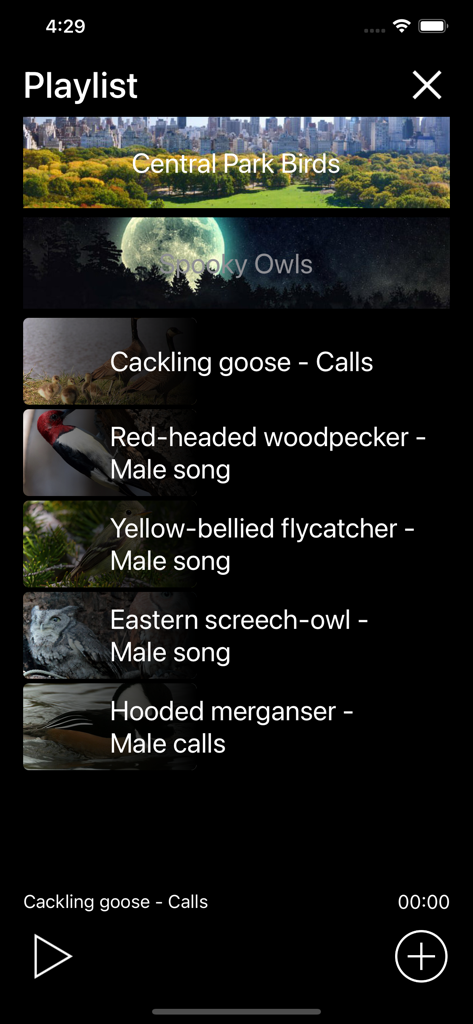 Birds of North America Sounds app playlist screen showing various bird species calls