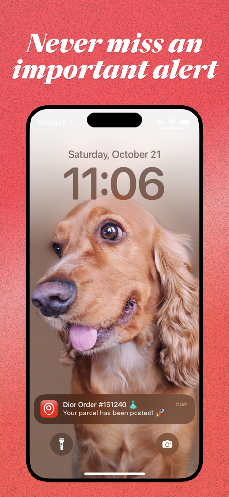 An iPhone lock screen displaying a real-time package delivery notification from the Posted app.