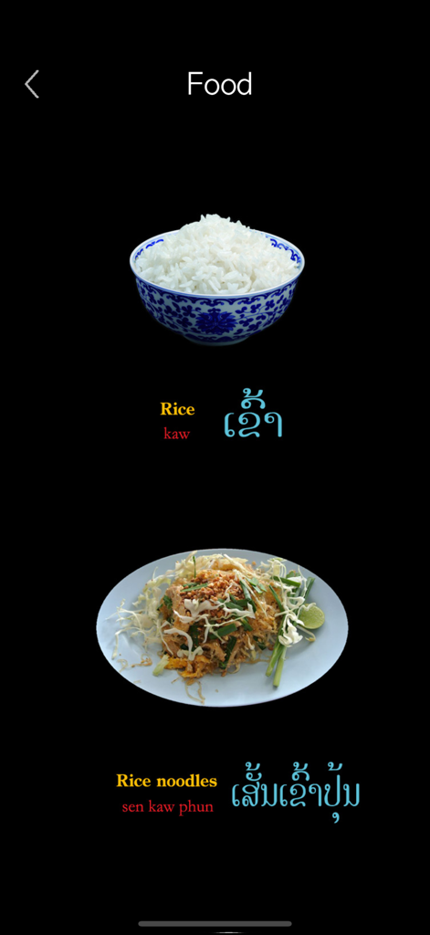 Lao Words & Writing - Lao language learning app screen showing food vocabulary for rice and rice noodles with script and phonetics