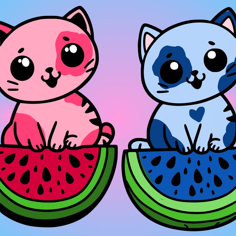 watermelon cat