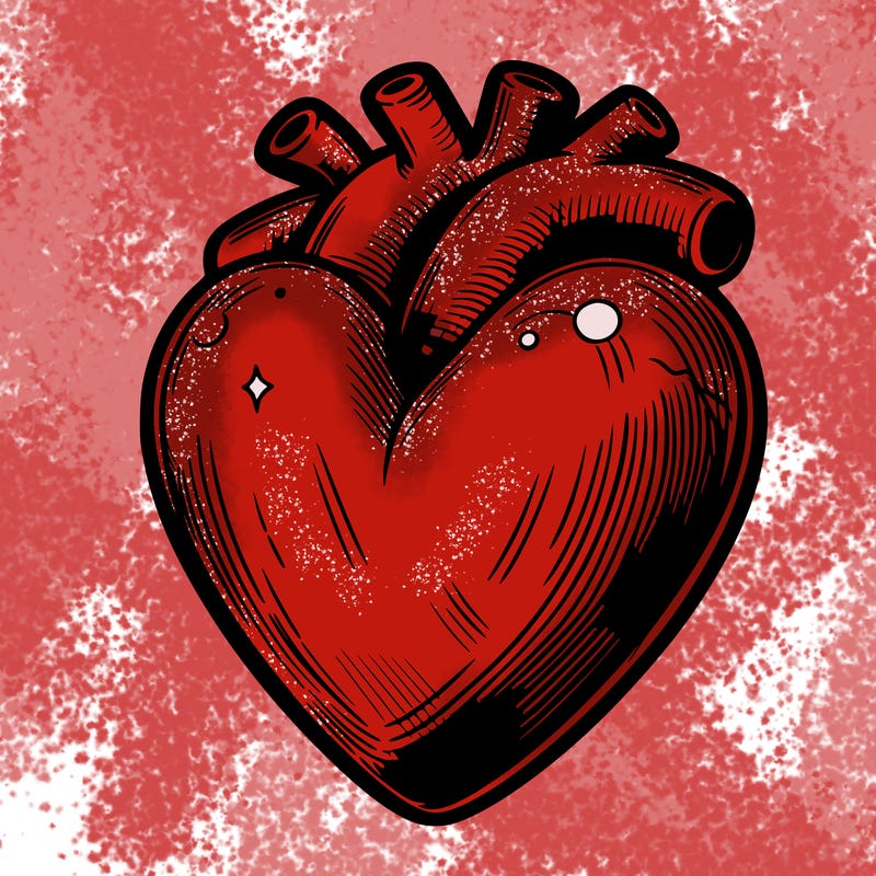realistic heart