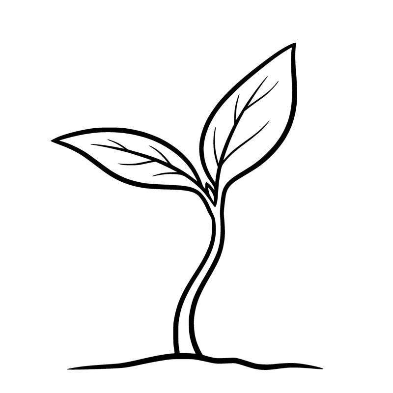 1 tiny sprout